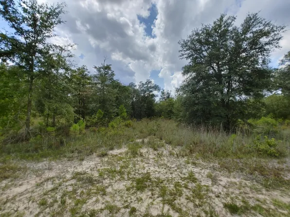 0 State Highway 259 #V/l, White Oak, GA 31568