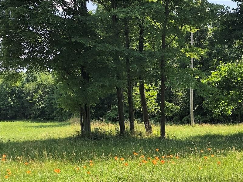 2nd image of LOT Sandy Lake Polk Rd