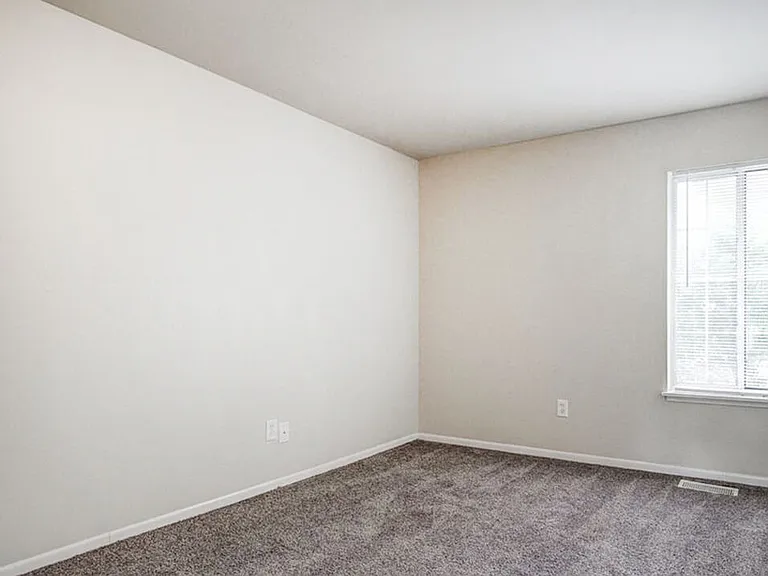 Cozy Plush Carpeting