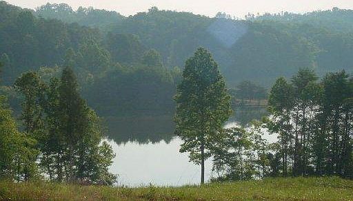 2nd image of 119 Clearwater Cove Dr
