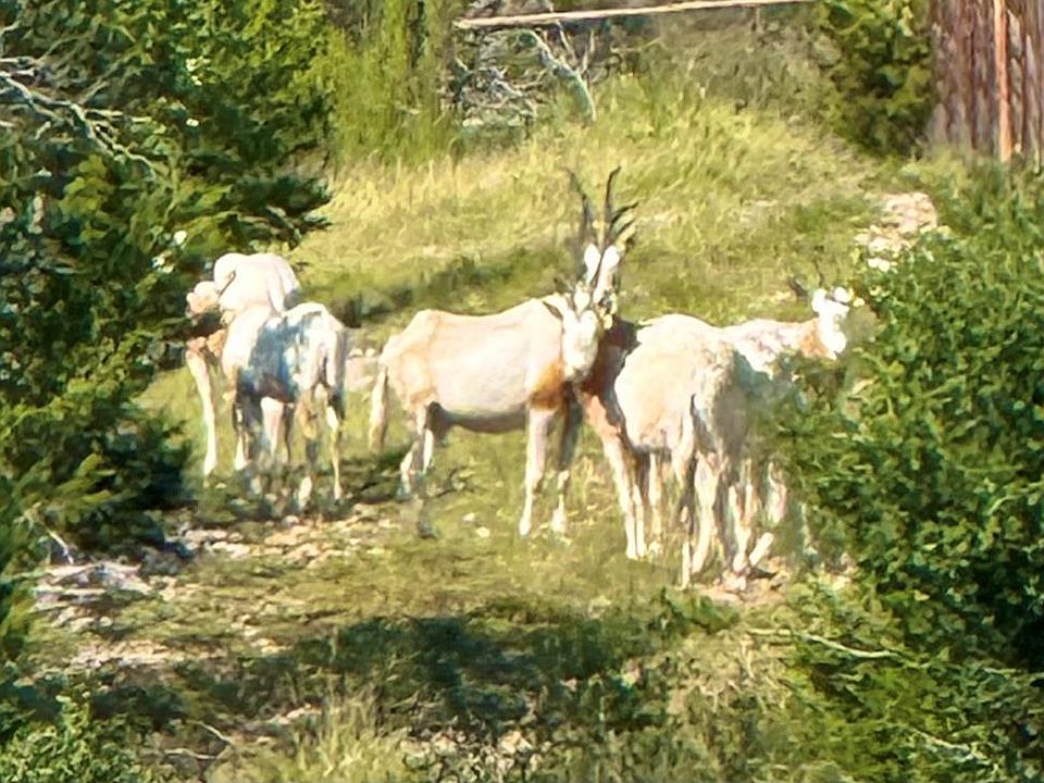 1st image of 0 Winn Ranch Way