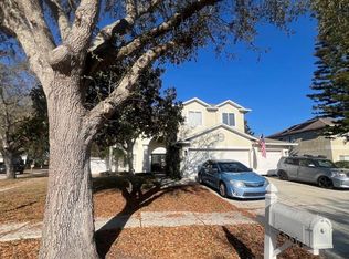 2834 Pankaw Ln, Valrico, FL 33596