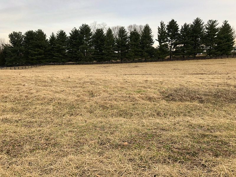 2nd image of 11004 Bradford Way
