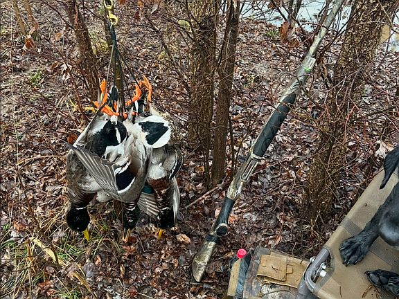 5th image of Whayne Rd Lot Wp001