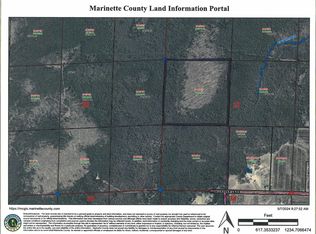 Mueller Rd, Wausaukee, WI 54177