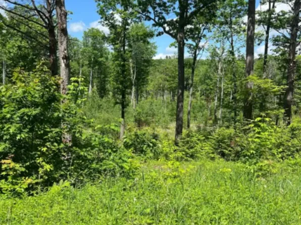 00 Corno Road and Canaan Street All 8 Lots, Canaan, NH 03741