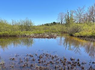 LOT 40 S River Run Dr Lot 40, Trout Lake, MI 49793