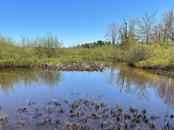 LOT 40 S River Run Dr Lot 40, Trout Lake, MI 49793