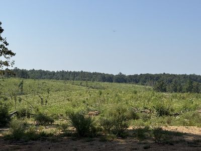 0 Linden Hwy, Hohenwald, TN, 38462