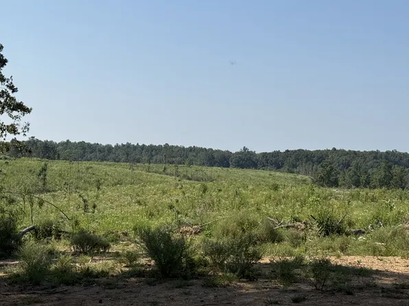 0 Linden Hwy, Hohenwald, TN 38462