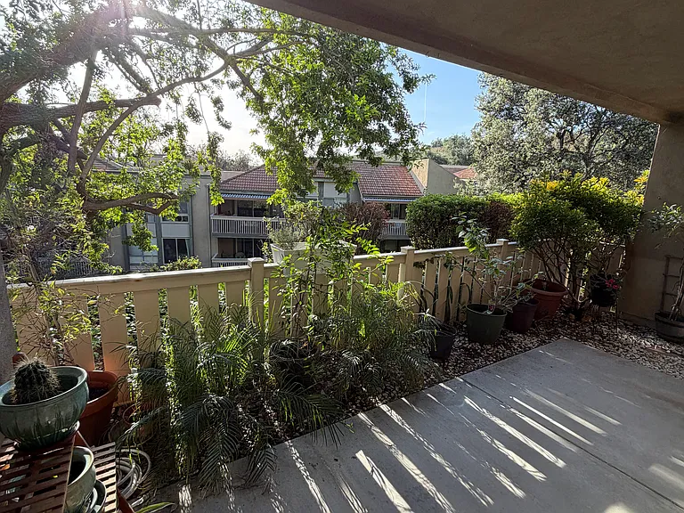 221 Oakleaf Dr — Photo 18