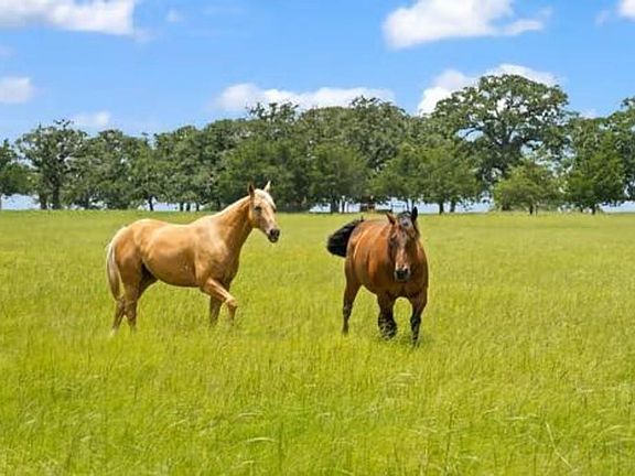 5th image of 705 Antioch Rd