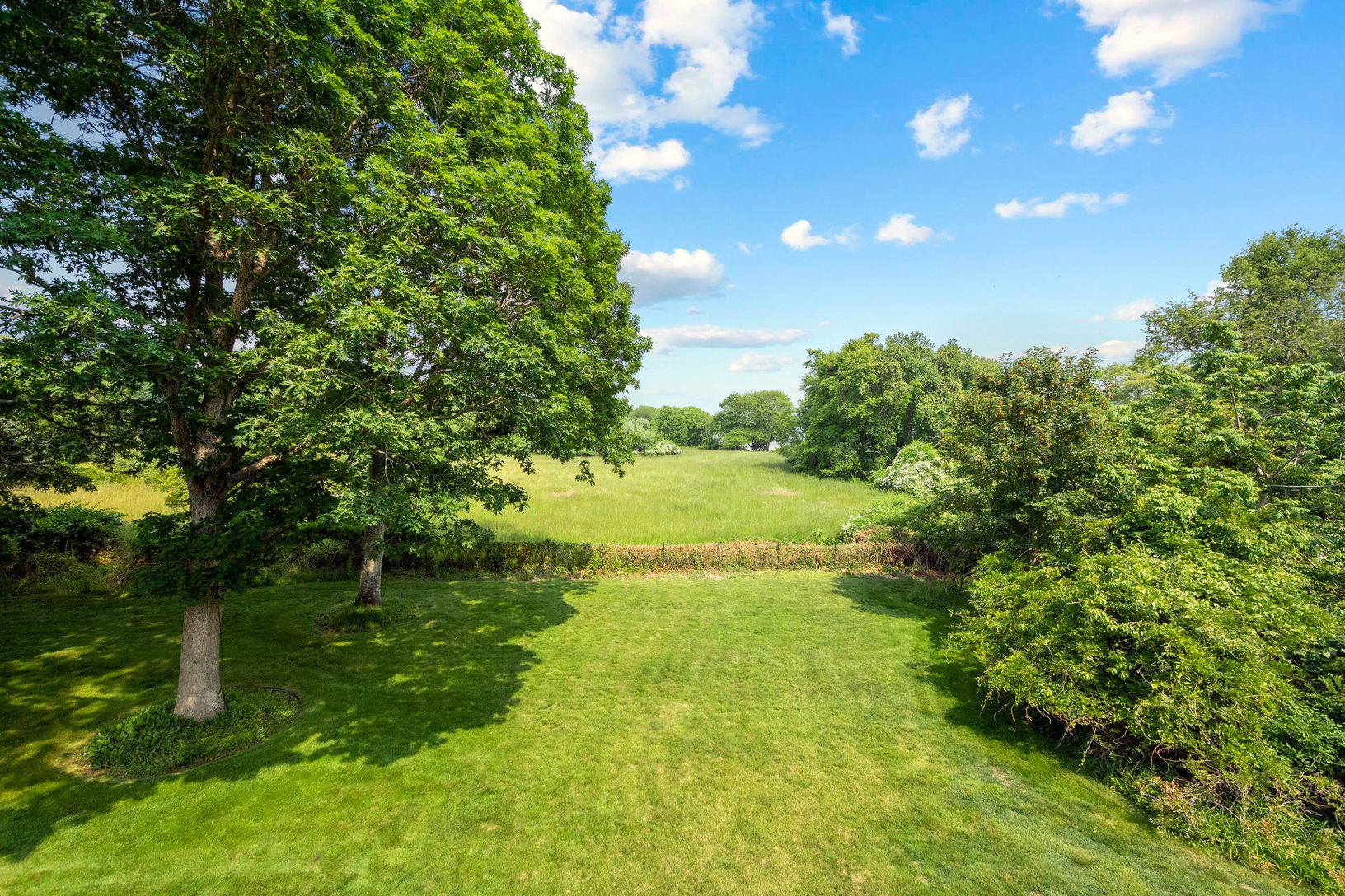 Lovely south-facing lawn
