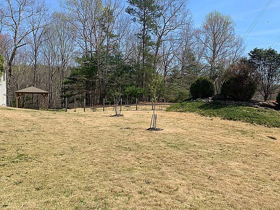 Side yard