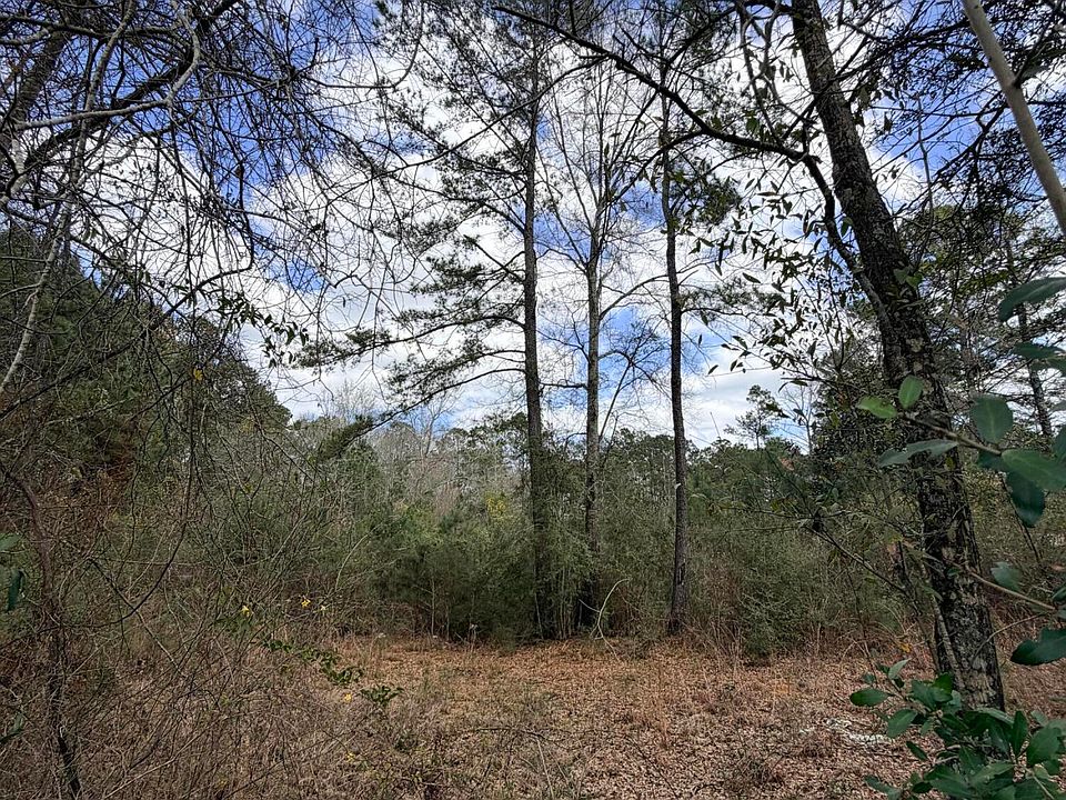 1st image of Joel Lang Rd Lot 4