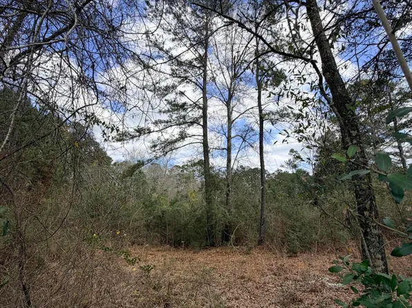 Joel Lang Rd Lot 4, McComb, MS 39648