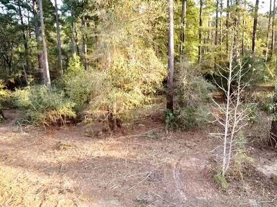 470 Pine Forest Acres Dr, Trinity, TX, 75862