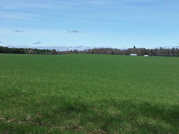 3rd image of Johnson Rd