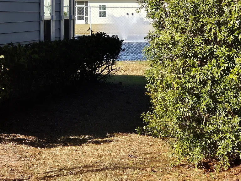 109 Harmony Falls Ln — Photo 5