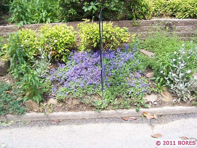 2nd image of 1626 S Lewis Pl