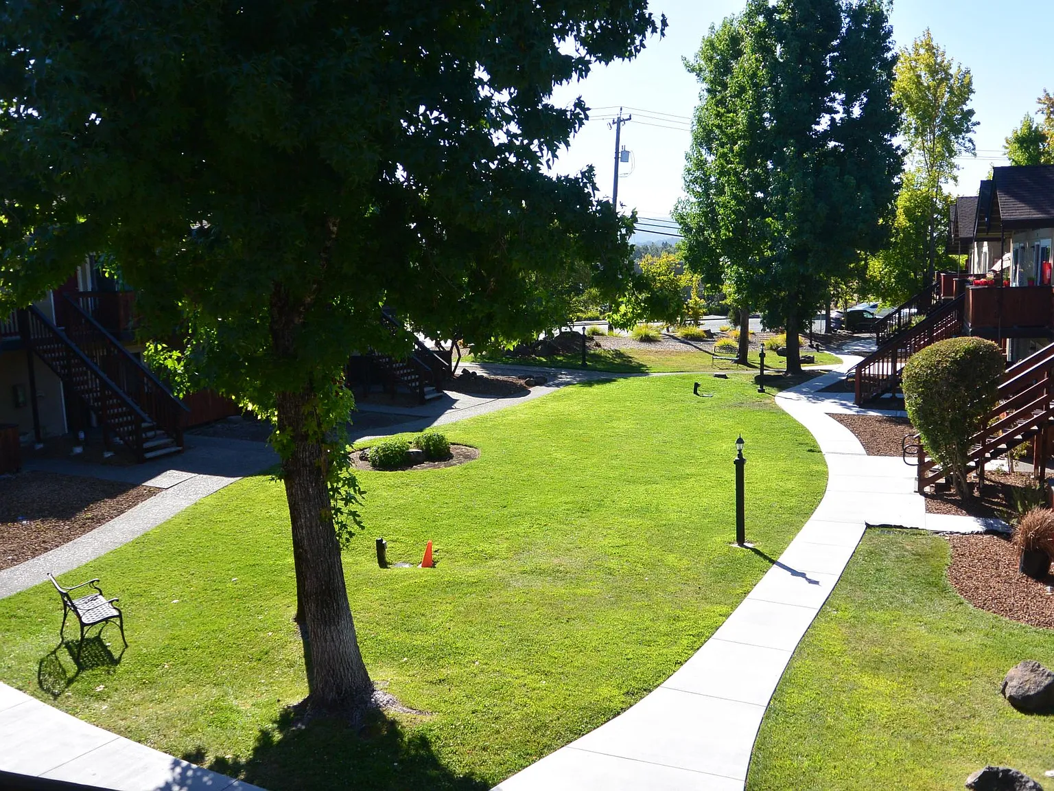 Pine Wild Apartments — Photo 2