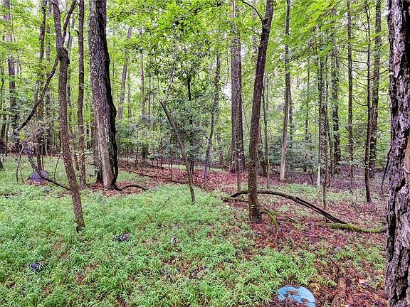 4th image of 200 Jolly Pond Rd