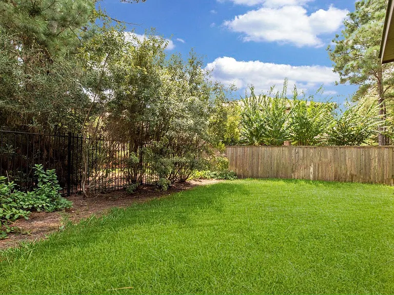30 Daffodil Meadow Pl — Photo 27