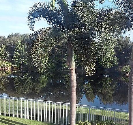 Backyard Water View