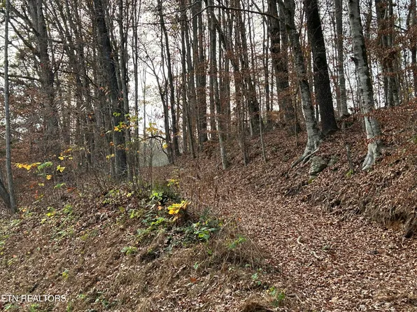 Ridge Crest Rd, Luttrell, TN 37779