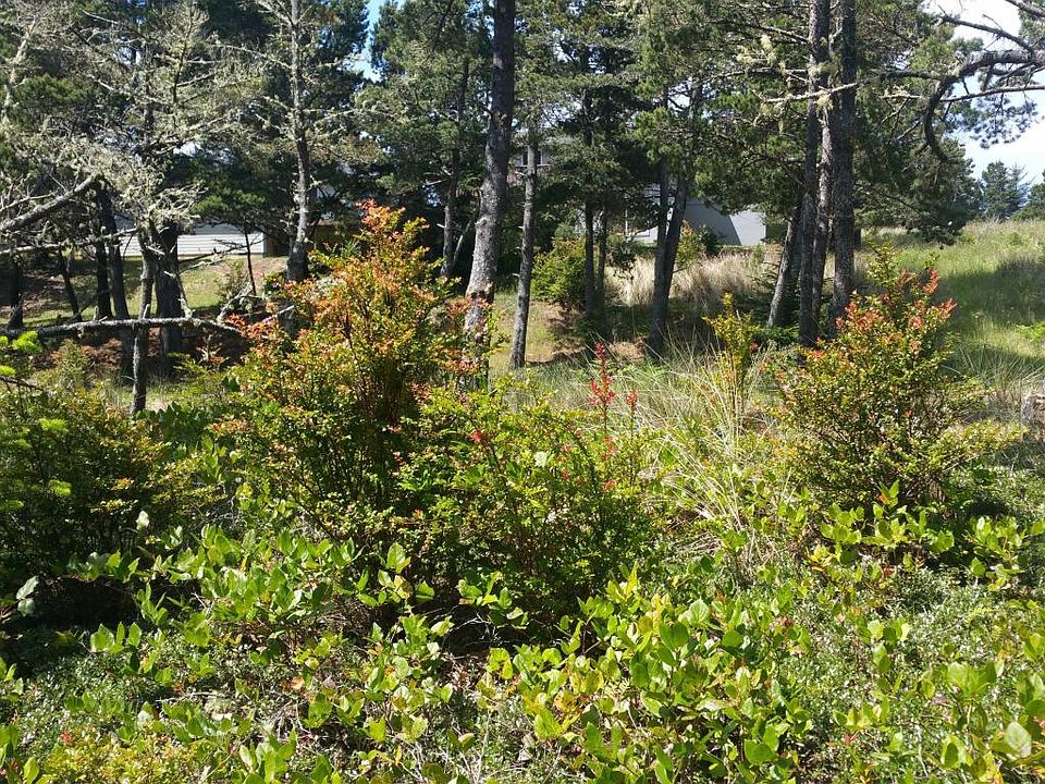 2nd image of 2305 NW Mokmak Lake Dr