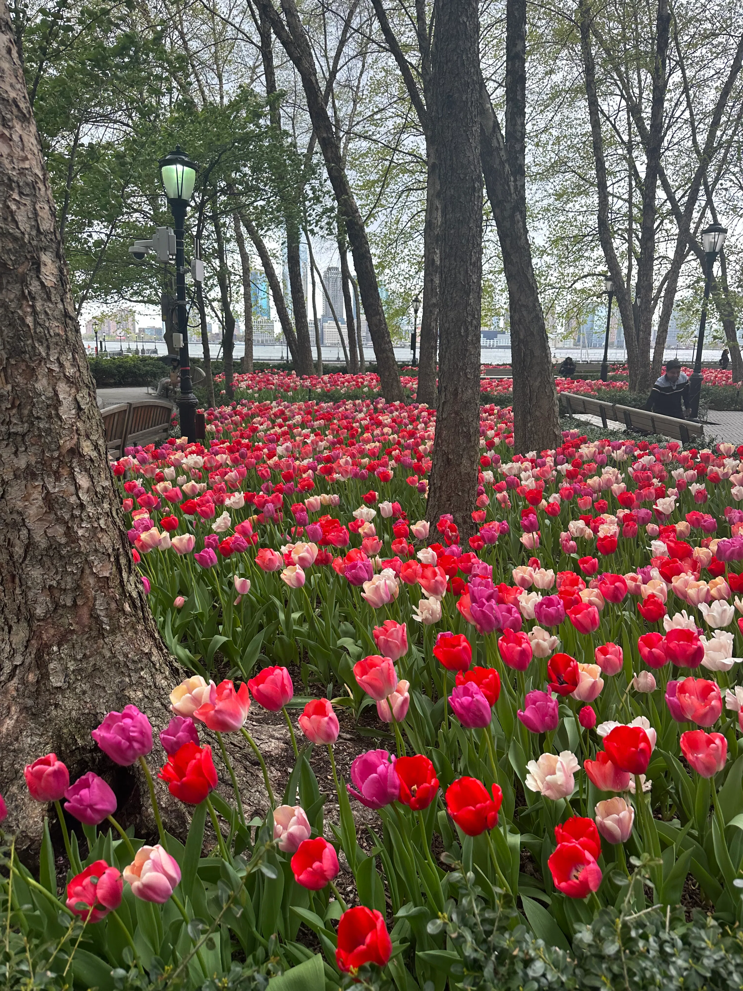 300 Rector Place #8M in Battery Park City, Manhattan | StreetEasy