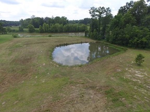 5th image of 18488 Amite Acres Dr