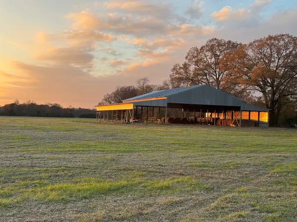 Pickett Rd, Stantonville, TN 38379