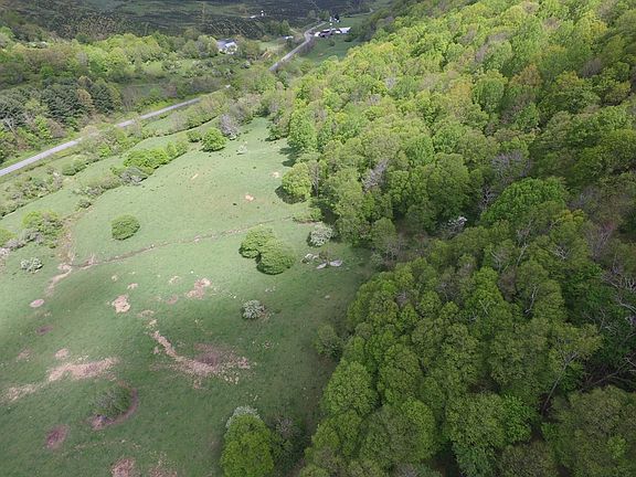 5th image of Old Bridle Creek Dr