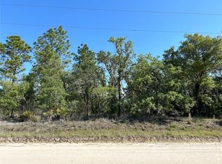 SE 21st Pl LOT 8, Morriston, FL 32668