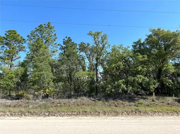 SE 21st Pl Lot 8, Morriston, FL 32668