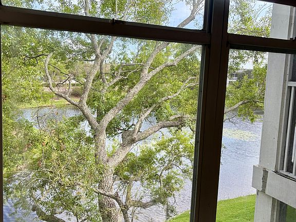 Bedroom Window