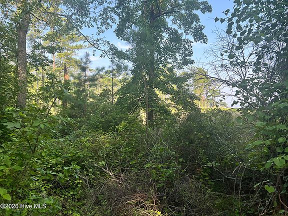 3rd image of Lot 2 & 3 Strawhorn Creek Road