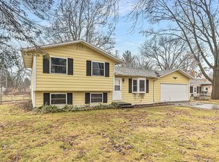 1031 E Hoffman St, Three Rivers, MI 49093