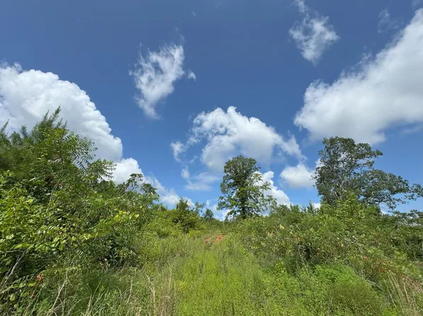 0 Hutson Morris Rd, Columbia, MS 39429