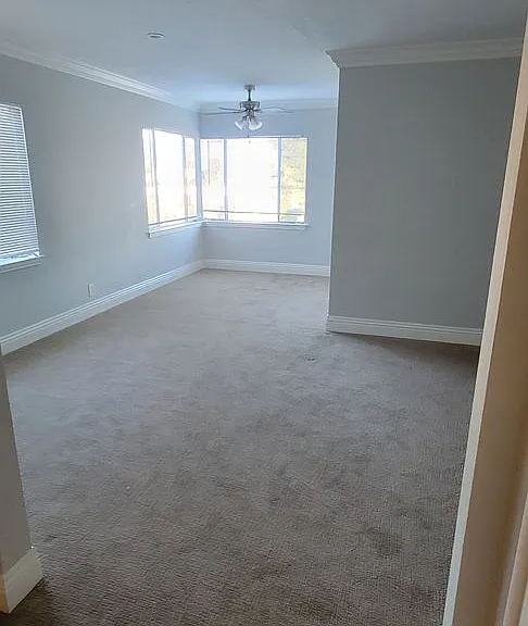 229 Macarthur Blvd #3A — Photo 12
