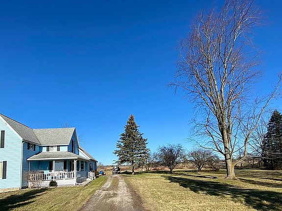 Large yard w/ fruit trees