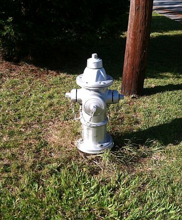 3rd image of 2402 Diana Ave