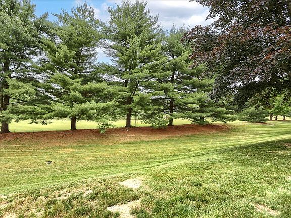 green space behind property