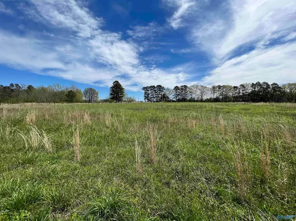 County Road 1693, Holly Pond, AL 35083