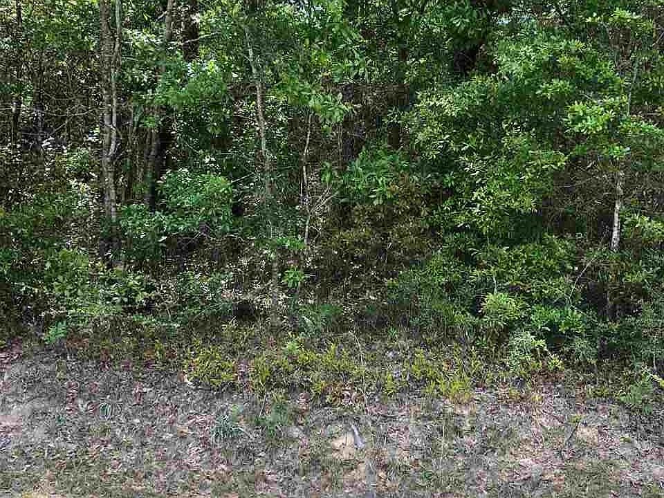 2nd image of 7400B La Quinta Rd