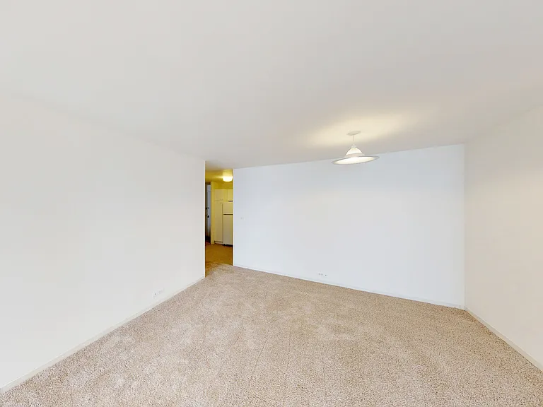 Dining/Living room