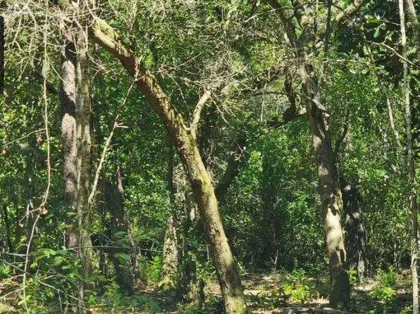 Lots 1 & 2 Gum St, Freeport, FL 32439