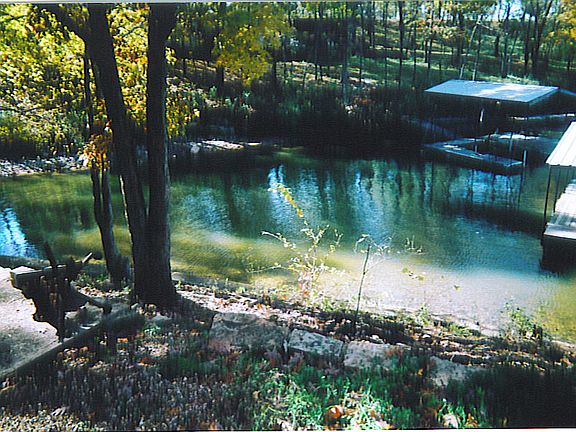 5th image of 406 Black Bear Dr