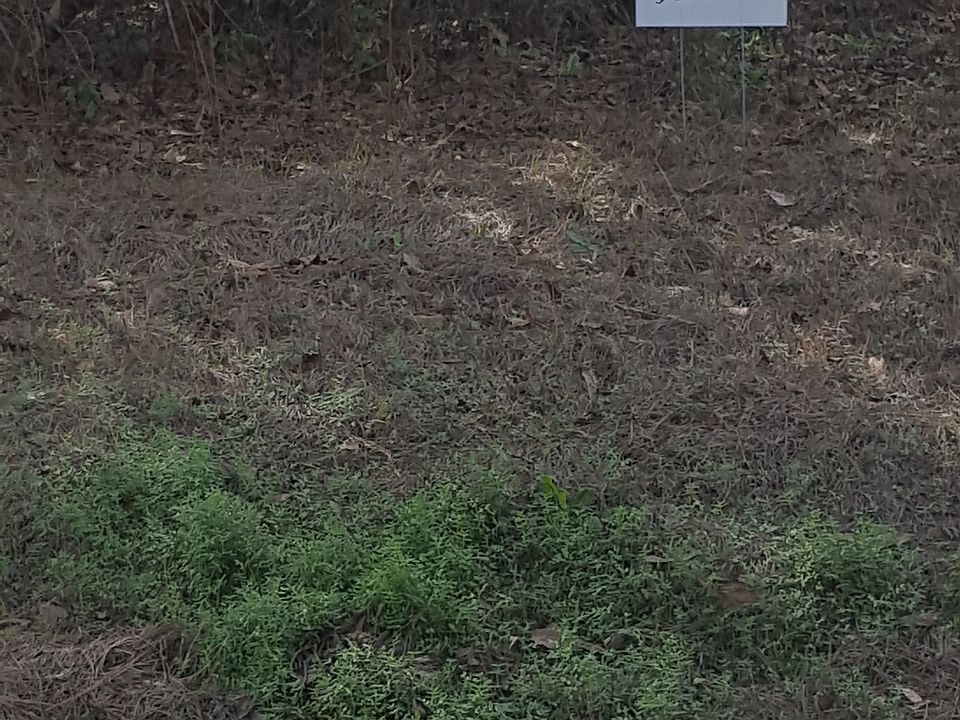 1st image of 11440 N Bear Creek Rd